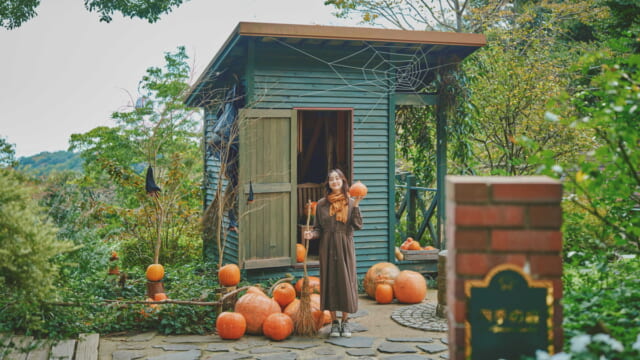 ロープウェイの先は秋色の別世界！「GARDEN FEST 2026-Autumn-」開催