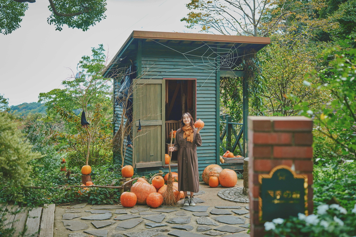 ロープウェイの先は秋色の別世界！「GARDEN FEST 2026-Autumn-」開催｜神戸布引ハーブ園