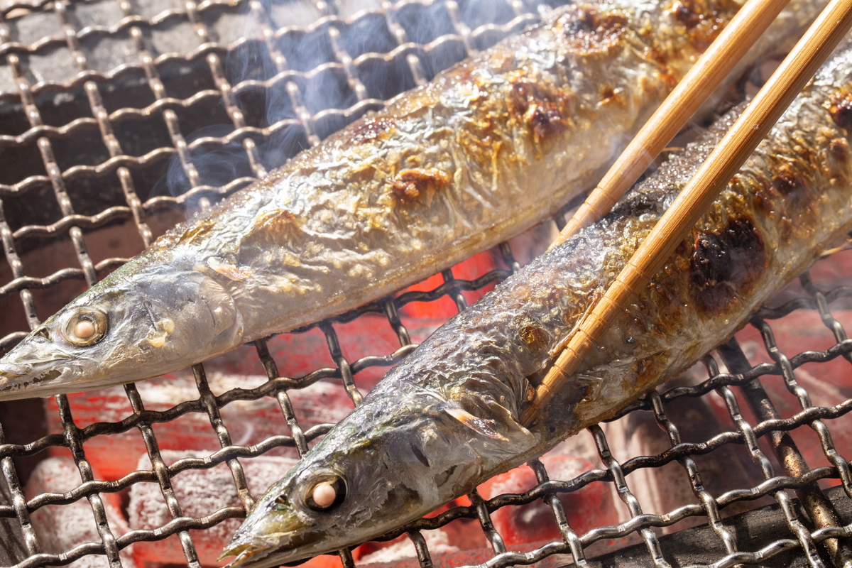 【まるごと根室直送市】花咲がに＆サンマも！札幌・赤れんが庁舎前庭で3日間開催