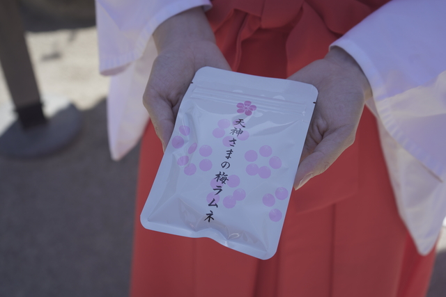 太宰府天満宮の受験合格祈願のお下がり「天神さまの梅ラムネ」