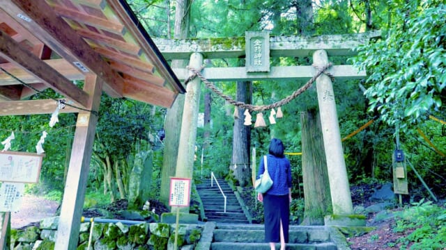 金運アップ祈願の聖地「金持神社」】宝くじ当選絵馬の数に驚き！全国