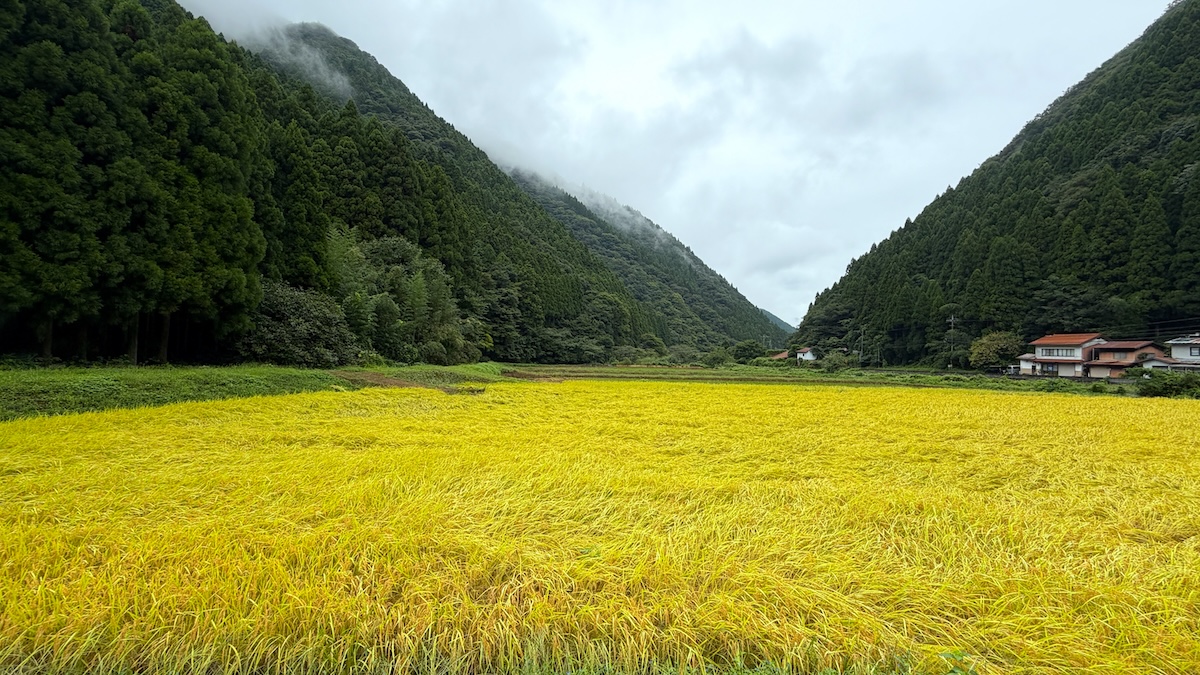 鳥取県日野町 金持神社 周りはのどかな田園風景