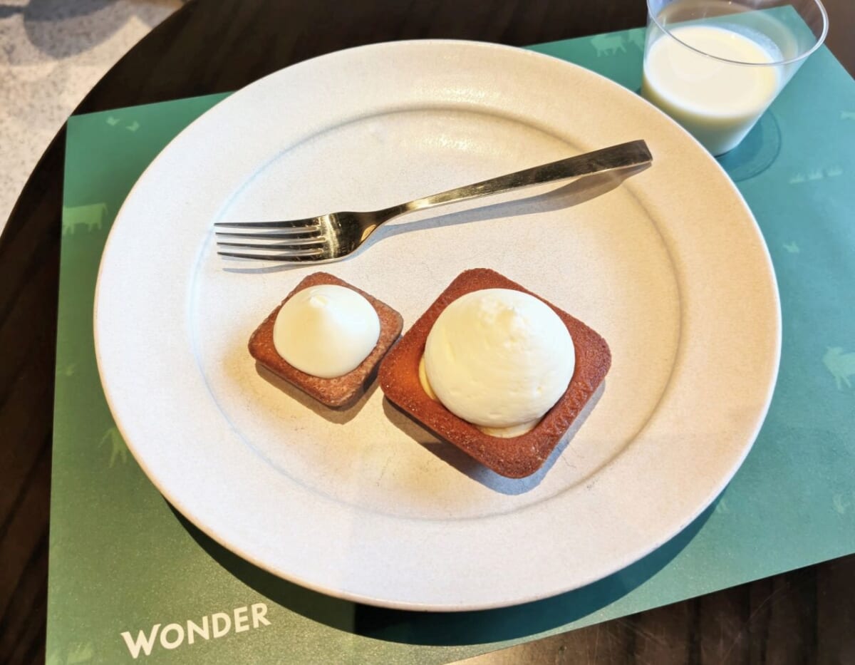 東京都千代田区・「WONDER JR東京駅店」ワンダーケーキ、チーズワンダー