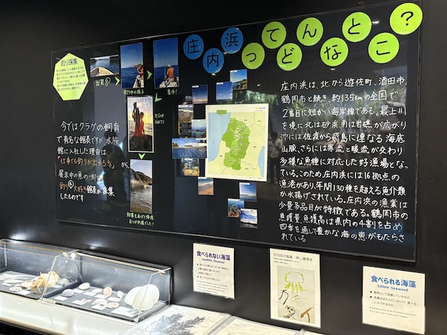 庄内の海に関するボード