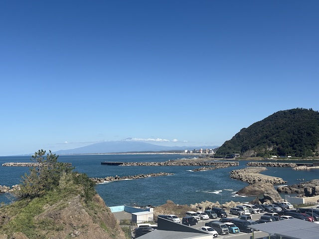 庄内の海