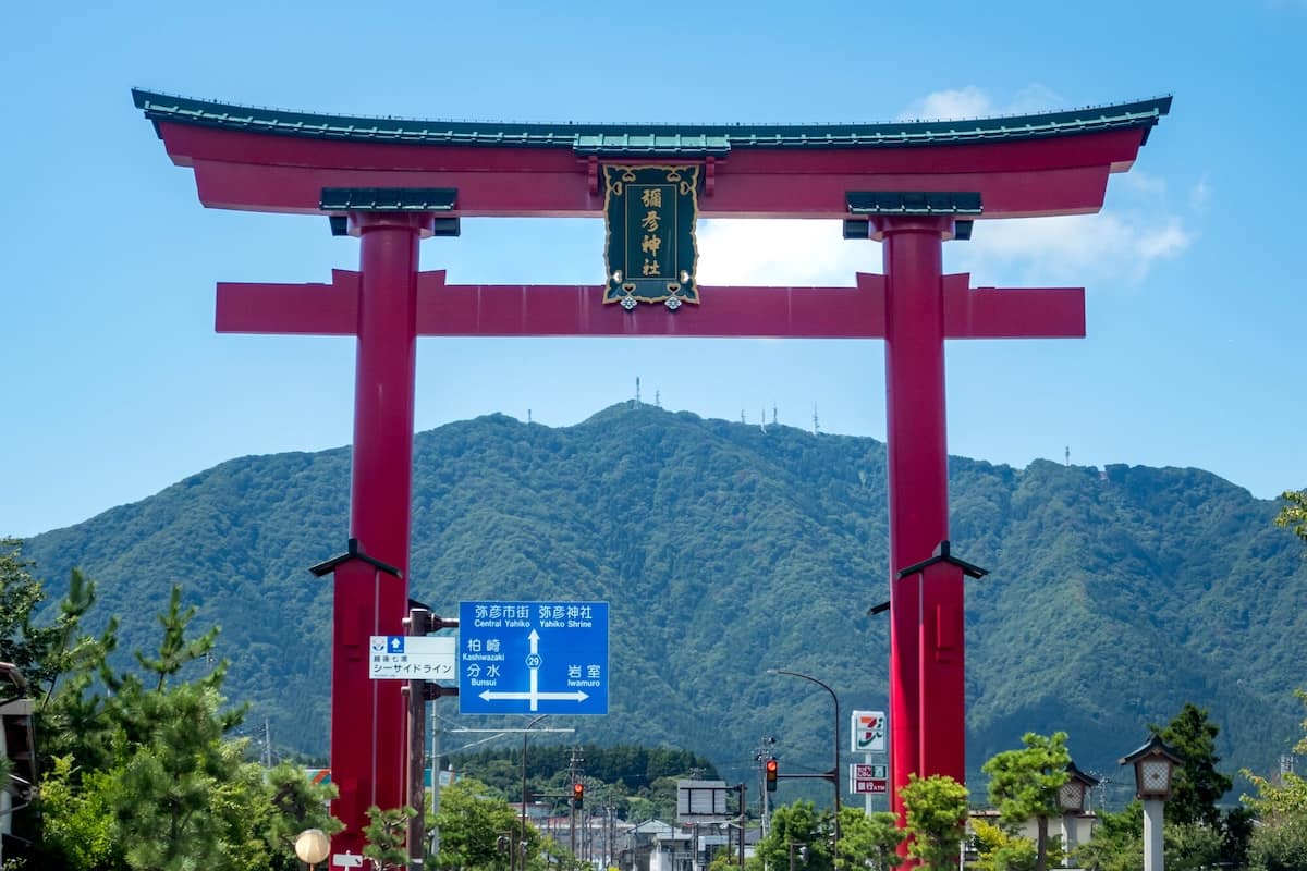 弥彦神社(新潟県)案内看板との高さの比較