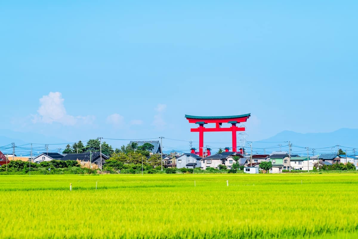 弥彦神社(新潟県)田園風景