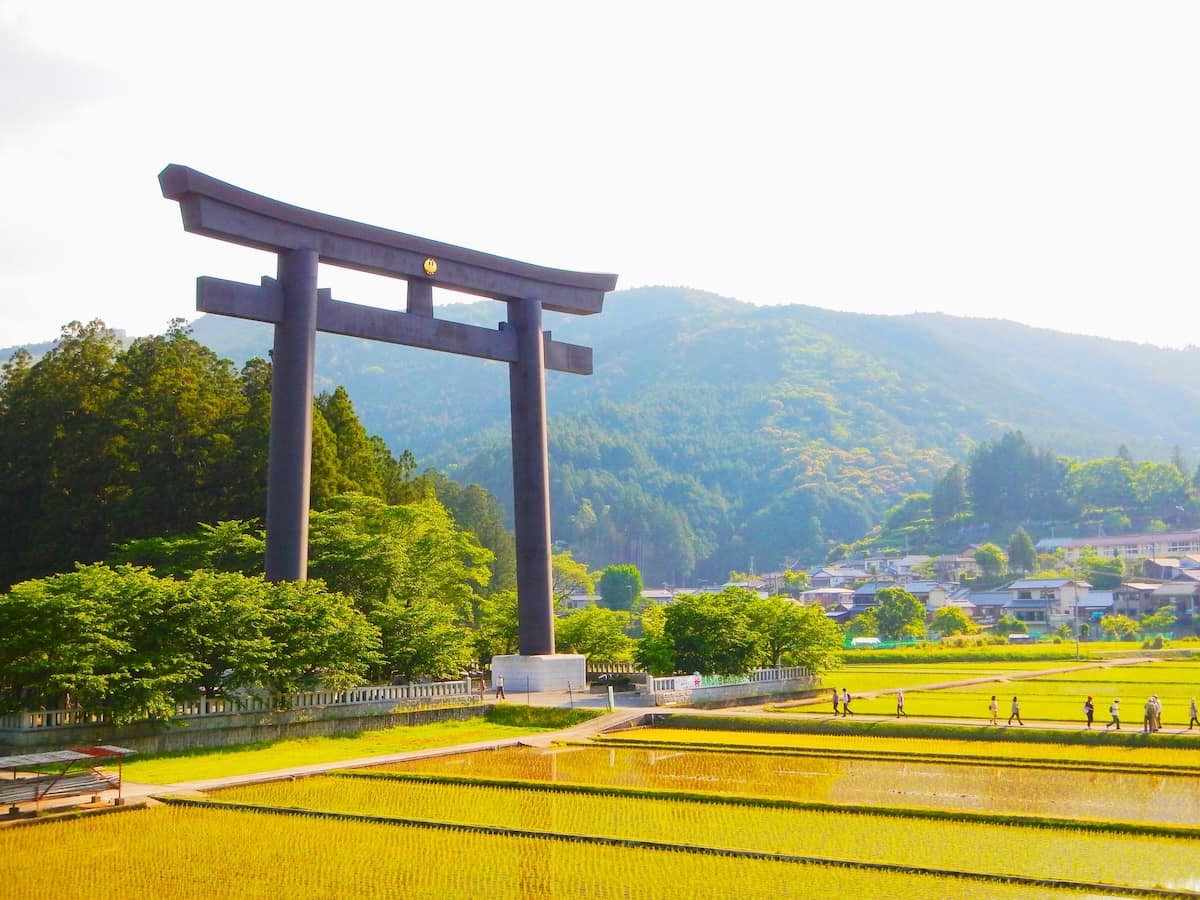 熊野本宮大社・大斎原(和歌山県)秋 稲穂